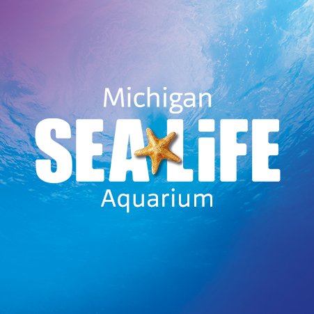 SEA LIFE Michigan Aquarium is an interactive educational experience with amazing undersea creatures! #SEALIFEMI