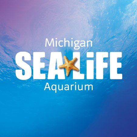 SEA LIFE Michigan Aquarium is an interactive educational experience with amazing undersea creatures! #SEALIFEMI