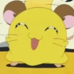ちび丸たんさんのプロフィール画像