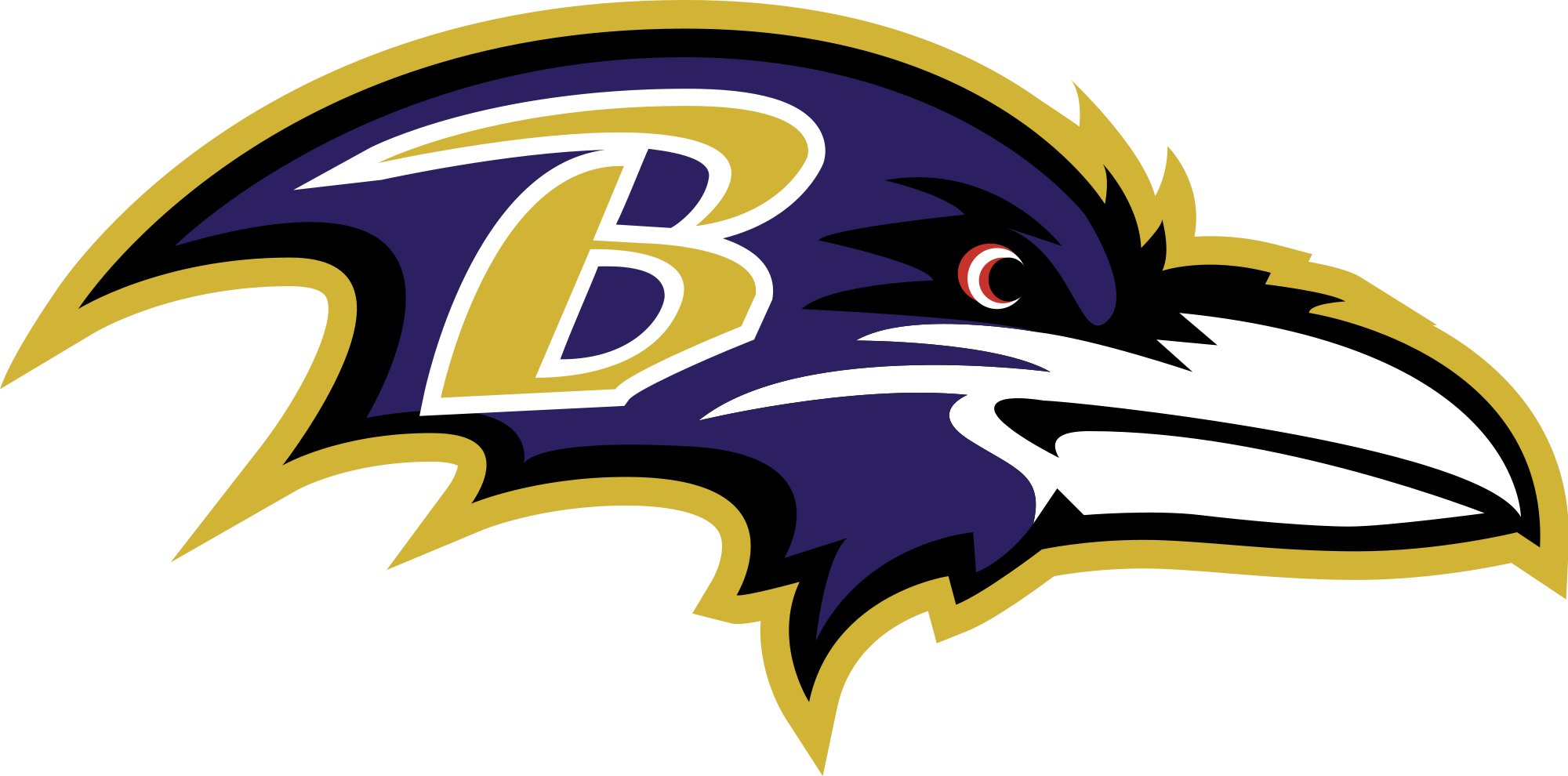 Baltimore Ravens Fan