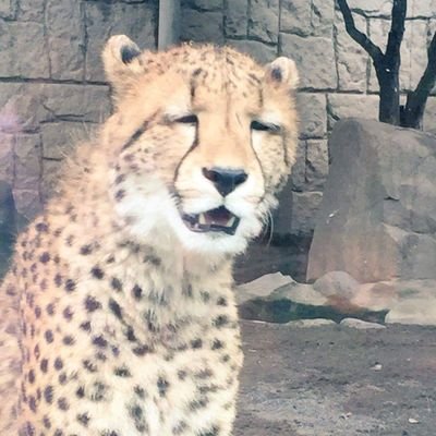 jeff86021234's profile picture. 一只鹹魚