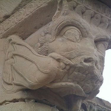 Cosas d'o mío intrés? Chenealochía, Historia, Cultura, Cheografía y aragonés.
¿Qué me interesa? Lo puedes ver en aragonés, que es fácil de entender