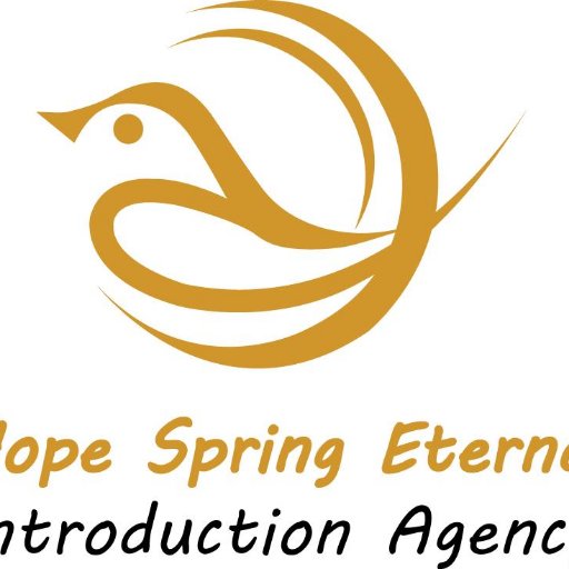 HSEIA is a specialist personal introduction/matchmaking service. Let us help you start your love story.
