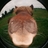 BeetleFudge's profile image
