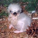 Amanda Tackett - @amalgamanda - Twitter