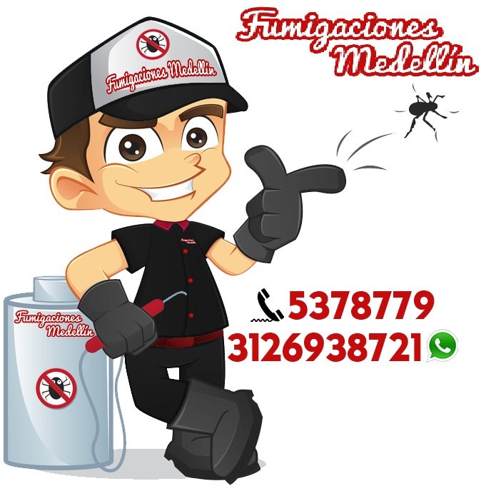 Fumigaciones en Medellín y su área metropolitana, control de plagas,   factura legal y 100% satisfacción al cliente.  Ponte en contacto 3126938721 👩‍💻👨‍💻