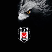 🦅🦅🦅⭐️⭐️⭐️Siyah & Beyaz⭐️⭐️⭐️🦅🦅🦅 (@ftx1903) 's Twitter Profile