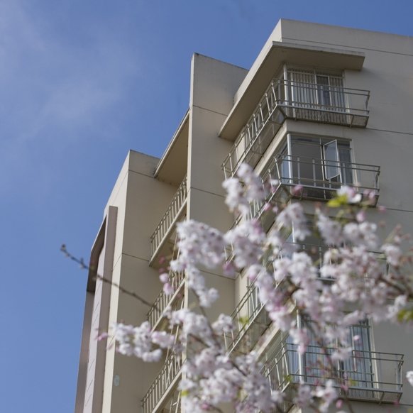 University Park North High Rises is a residential community at San Francisco State University. #GoGators🐊