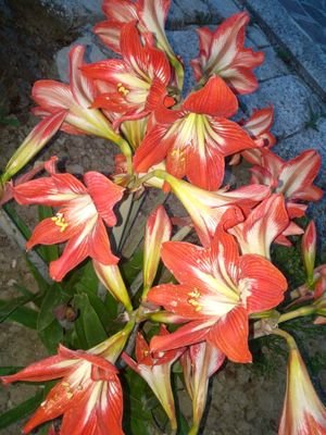 SMindware's profile picture. 