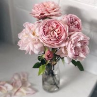 `✿ (@27_amany) 's Twitter Profile