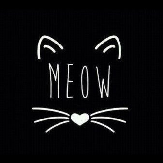 Jennmazing08's profile picture. Gracing you with my twitter presence 😍