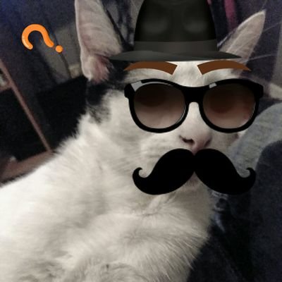 The healthiest choice in gaming!
Hi, my name is Nickolas! I am 20 years old and I play several games and stream them on https://t.co/EZQPnSaVnr!
https://t.co/A2zVLvEdje
