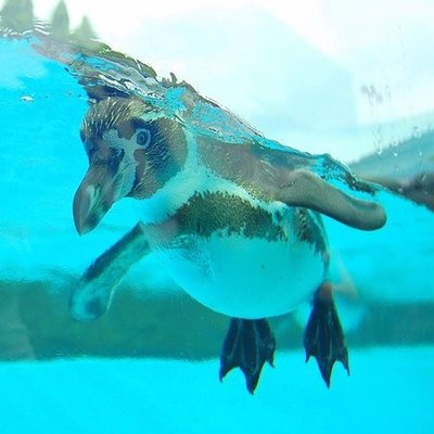 coohのプロフィール写真
