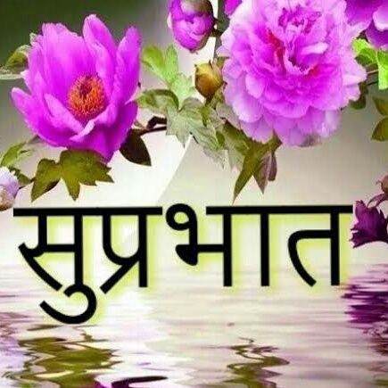 hirabha09038382's profile picture. i am not sure what time are you coming to the rest. 💘💘💘💘❤❤