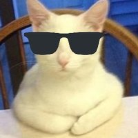 Enigma1000 (@enigma10002) 's Twitter Profile