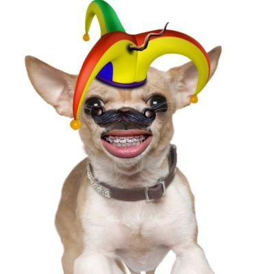 shaavacadoo2rb's profile picture. I am god