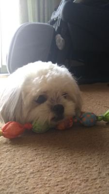 jsKW4P9AZBrCscn's profile picture. 