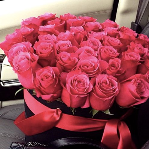 annyk7's profile picture. 