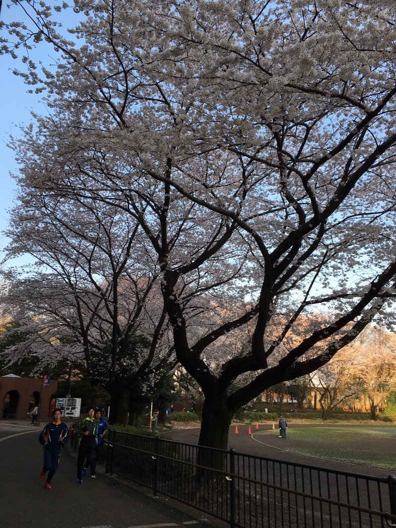 仕事で使える英語の習得を目指し日々努力を重ねています。なるべく深掘りして理解するよう心掛けており米国赴任生活、online英会話、TOEIC(最高880点)を中心に英語学習の備忘録をツイートしてます🧐✨ 英語学習者の方は100%フォローバック☕️