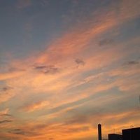 チャップ (@yz3shrcv7lejoqs) Twitter profile photo