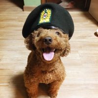 Daniel Lee 가즈아!! (@yijuho1) 's Twitter Profile Photo Daniel Lee 가즈아!! (@yijuho1) 's Twitter Profile Photo