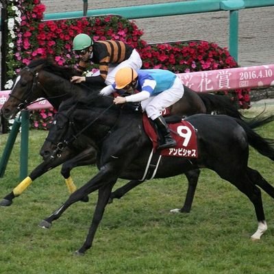 YOUTUBEで競馬関連の動画をのんびり配信しております。
https://t.co/fpoTJivjJe