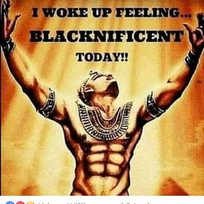 Noko44887716's profile picture. 