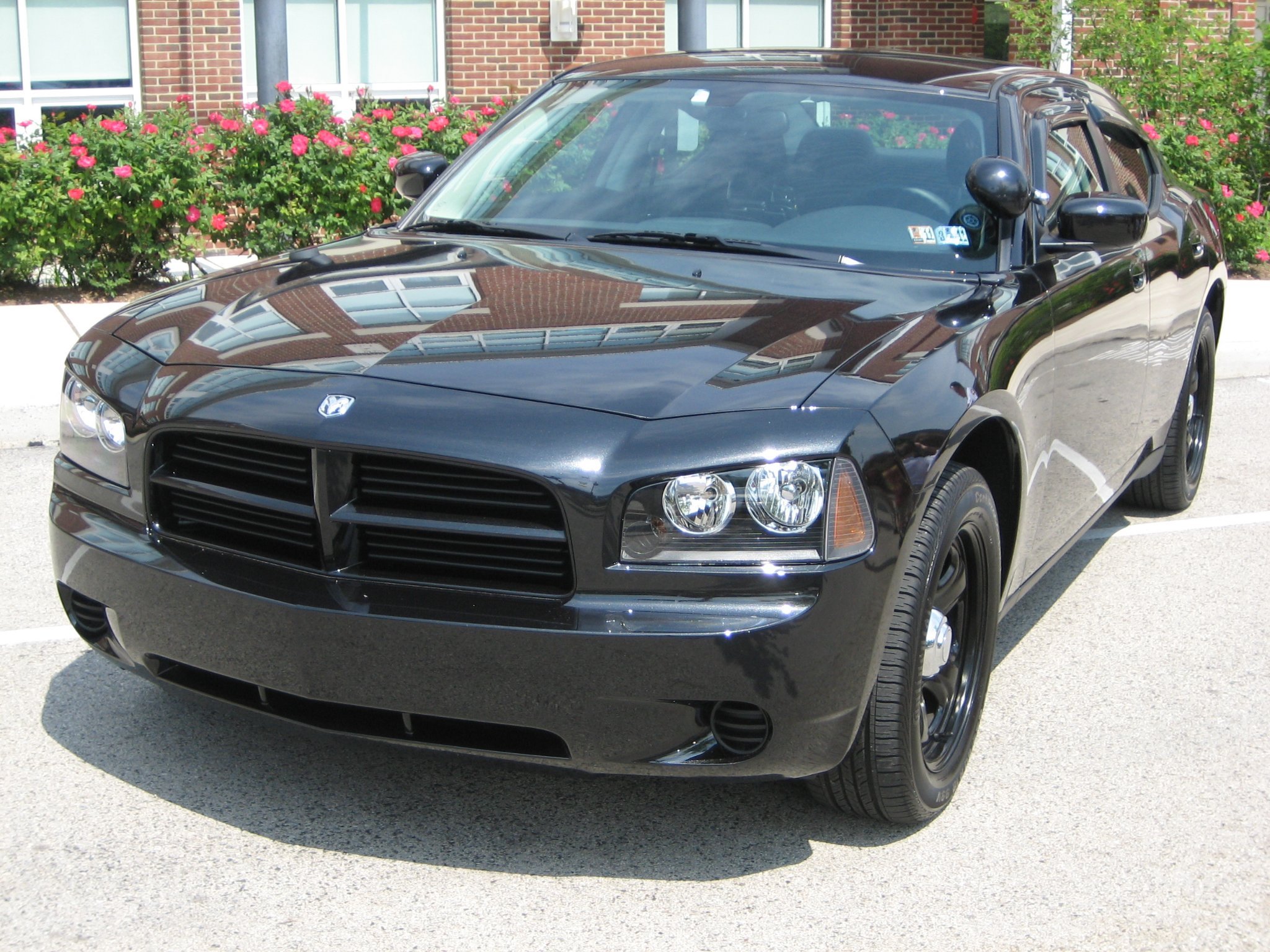 Pas101545's profile picture. 