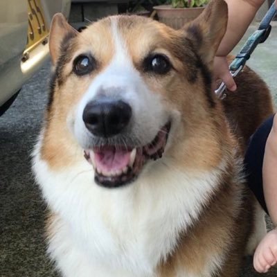 3.11で親戚がすべて津波で流され被災しました。真実を追い求めラプトブログに辿りついた私。多くの人に真実を知って頂きたい! https://t.co/kNMpspjlbh