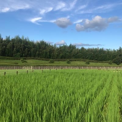 hokada01's profile picture. クラシック音楽🎶、特にバイオリン🎻の音色を聴くのが好きです。フランス文化🇫🇷に興味があります！