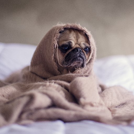 I created a safe place to #vent your #frustrations without consequence. It's free and 100% #anonymous. Please visit my website to get the latest phone number. 🤬