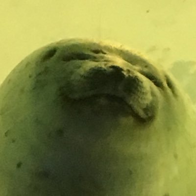 toshiukiii's profile picture. What's the matter with your life.