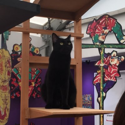 Ayane48482457's profile picture. ただ思ったこと呟くため内容にばらつきがあります。好きなもの→Fishmans、星野源、細野晴臣、キリンジ、レイハラカミ、アンサリー、たま、トクマルシューゴ、コーネリアス、平沢進、ハライチ、阿佐ヶ谷姉妹、ランジャタイ、もう中学生