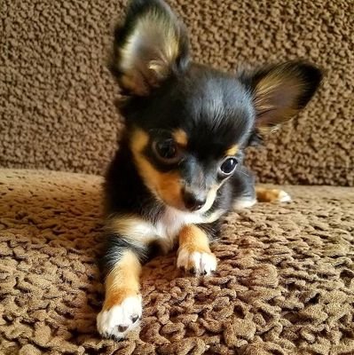 09019905784Hiro's profile picture. 