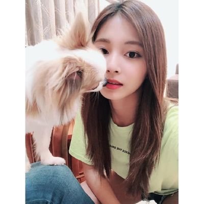 Chou Tzuyu parody 99L || Twice's maknae🙅