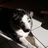 diego2stay's profile image