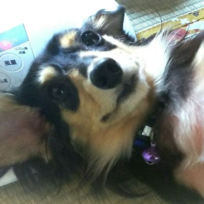 アイスです‼よろしくお願いしますヽ(*´∀｀*)ﾉ
アニメと音ゲーとお笑い大好きです♪
【お笑い】オンバト世代の芸人さん、すゑひろがりず
【ゲーム】maimai、プロセカ、東方ロスワ、ポケスリ
【ポケモン】ミュウ、イーブイ
【アーティスト】BOYS AND MEN、MAGIC☆PRINCE
