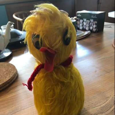 KristinVeel's profile picture. 