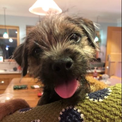 kenna_del's profile picture. International Educator, EAL HoD, Social Studies/Supporting Bilingual Learners.