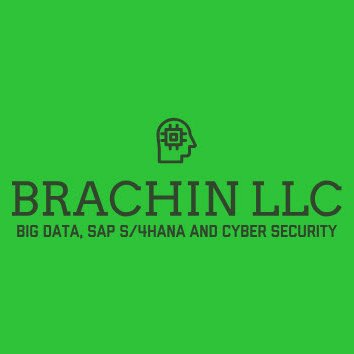 BRACHIN Digitizing Business Operations & Solutions for SME Enterprises SAP Odoo Netsuite SAP EWM AI