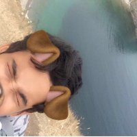 AboutDeer....... (@aboutdeer) 's Twitter Profile