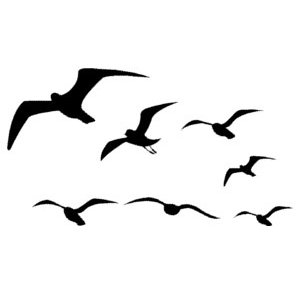 ThoroughgoodElementaryPTA Profile