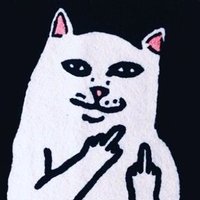 the local ™ (@tearofarmy) 's Twitter Profile