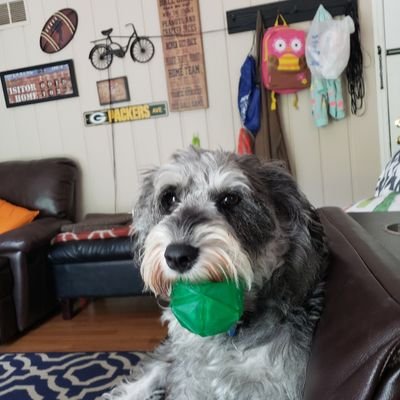 CHRISTINCRAWF15's profile picture. 