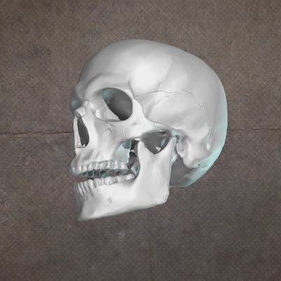 ニシヤさんのプロフィール画像