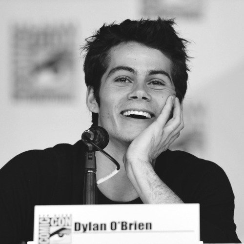 LOssenbruggen's profile picture. 