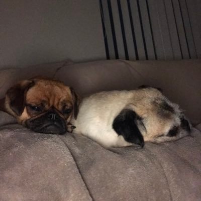 juliemcc2's profile picture. 