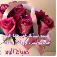 سناء عبد الجبار (@2la4buew4xewcib) 's Twitter Profile