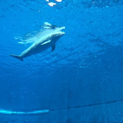 fafy_alberini's profile picture. 