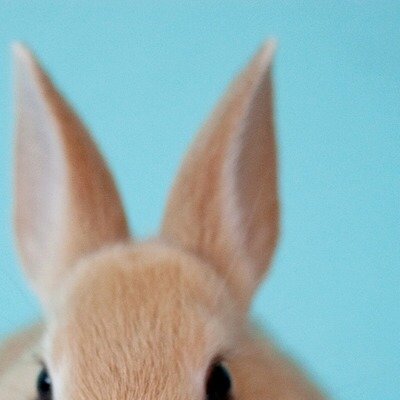 はいおらさんのプロフィール画像
